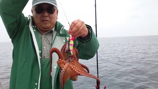 関東タコ餌木構築中 お客様釣果ご報告いただきました 浅ブロ沖船 浅草釣具の日常