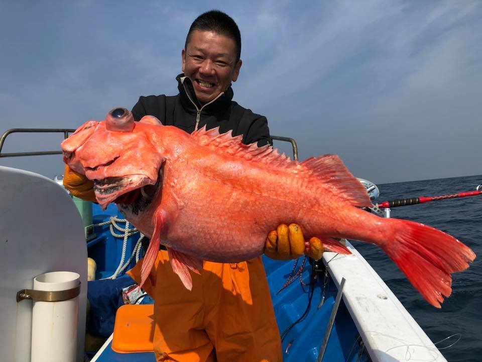 釣行報告】好機到来！？ベニアコウの釣果が上昇中！: 浅ブロ沖船（浅草