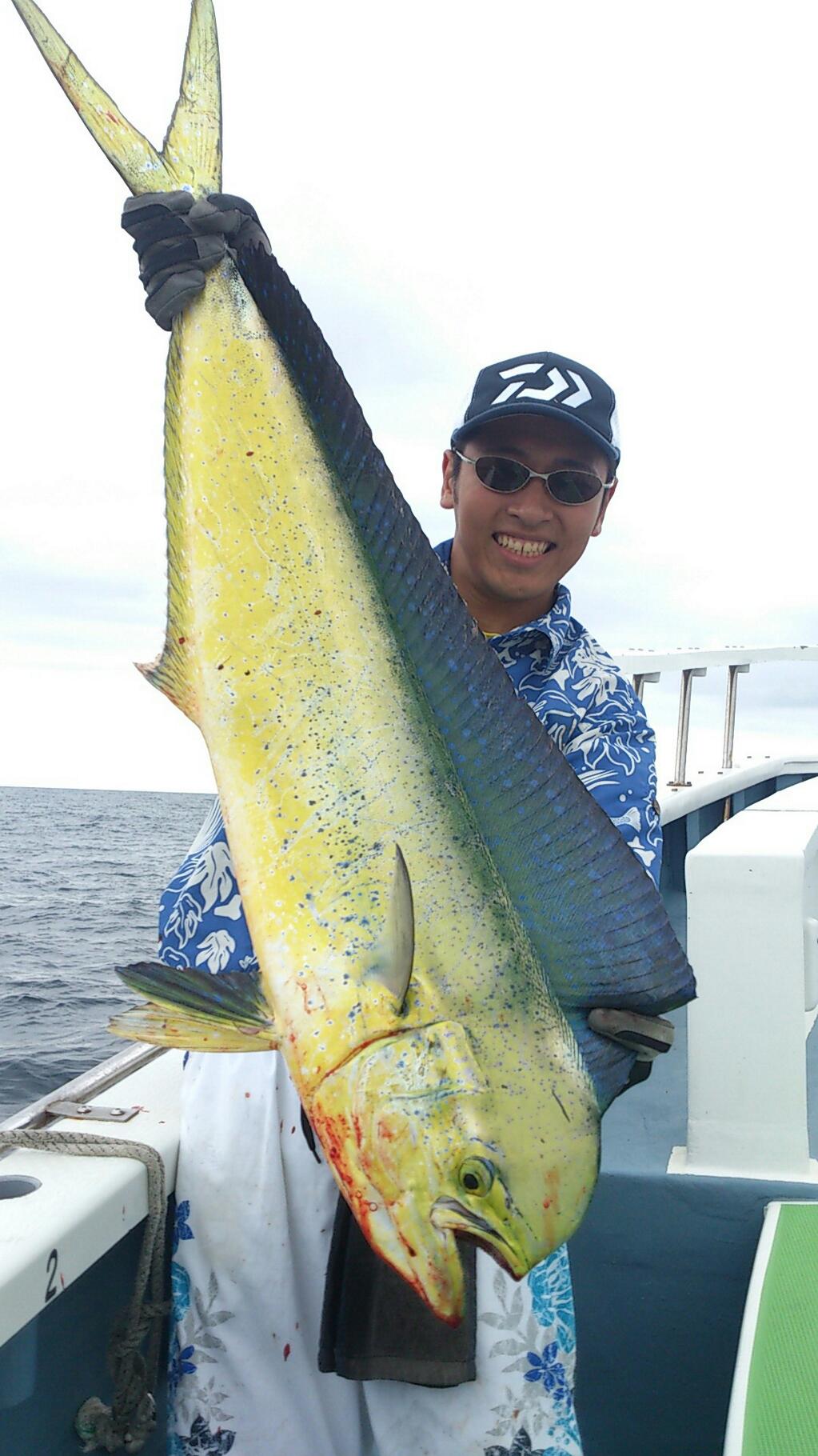 釣行報告 今年も開幕 相模湾ルアーシイラ 浅ブロ沖船 浅草釣具の日常