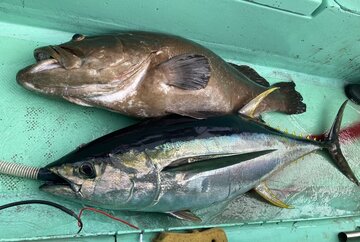 初代浅草: 浅ブロ沖船（浅草釣具の日常）