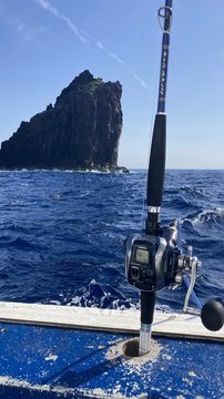 ☆極美品☆浅草釣具 第二代 DENJIGUI 172/電動ジギング ☆極美品☆浅草釣具 第二代 DENJIGUI 172/電動ジギング 浅釣