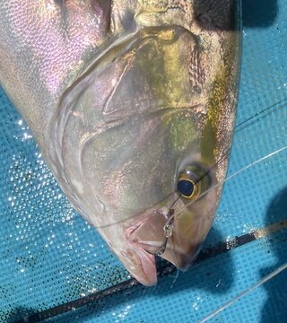 初代浅草: 浅ブロ沖船（浅草釣具の日常）