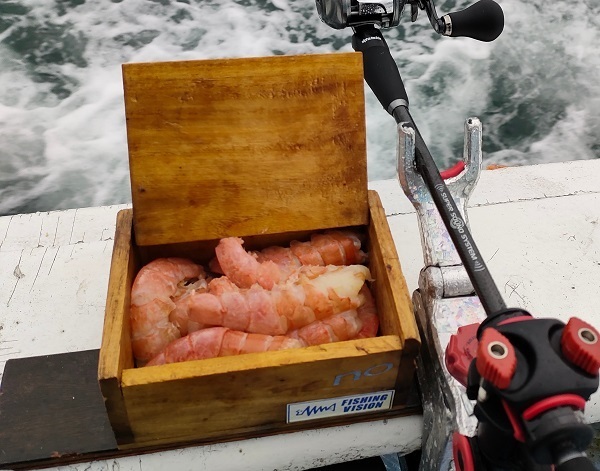 ブログに現れないスタッフＳの釣行記 茨城のカットウふぐ: 浅ブロ沖船（浅草釣具の日常）